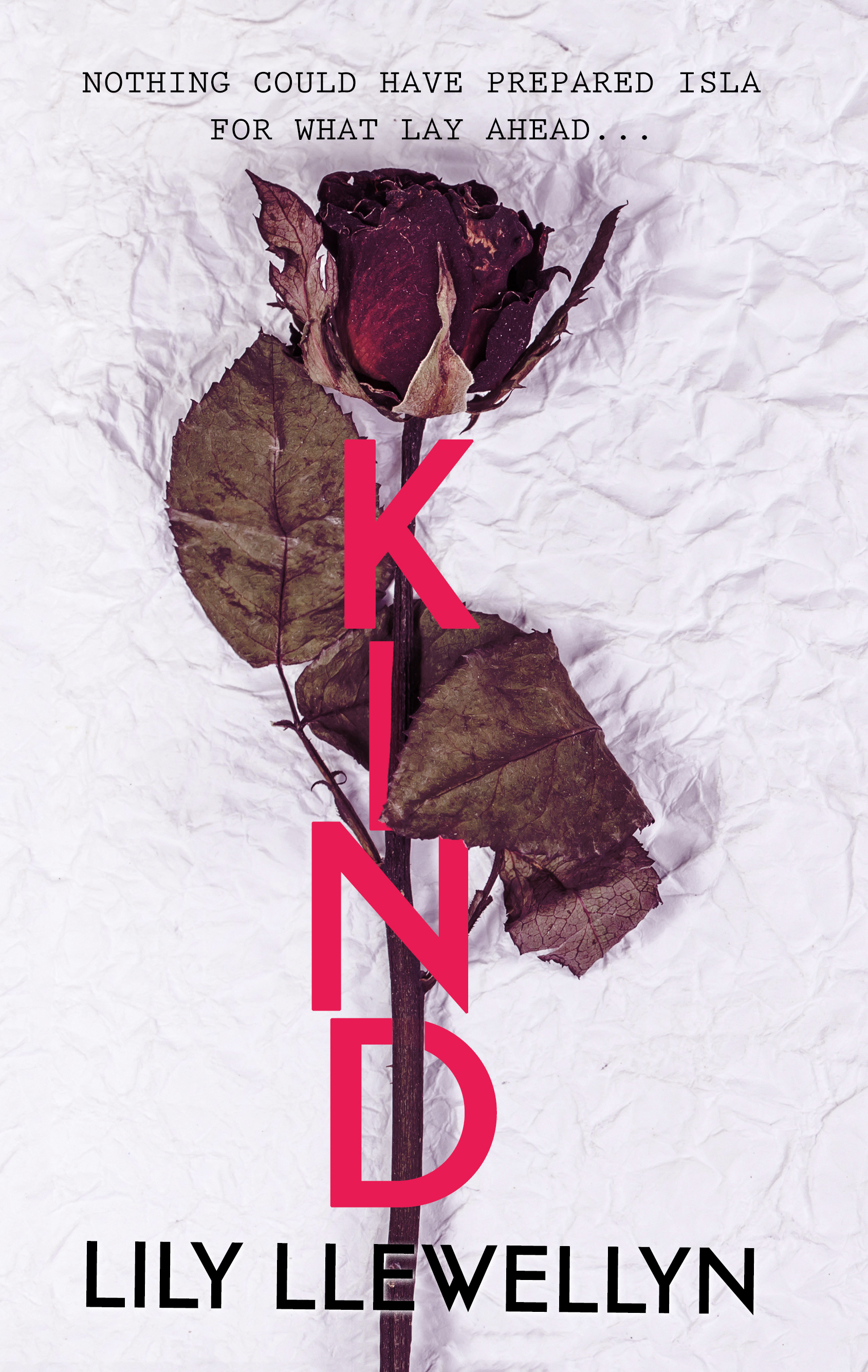 Kind by Lily Llewellyn